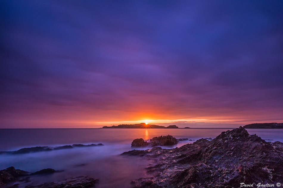 Le Velours Mauve